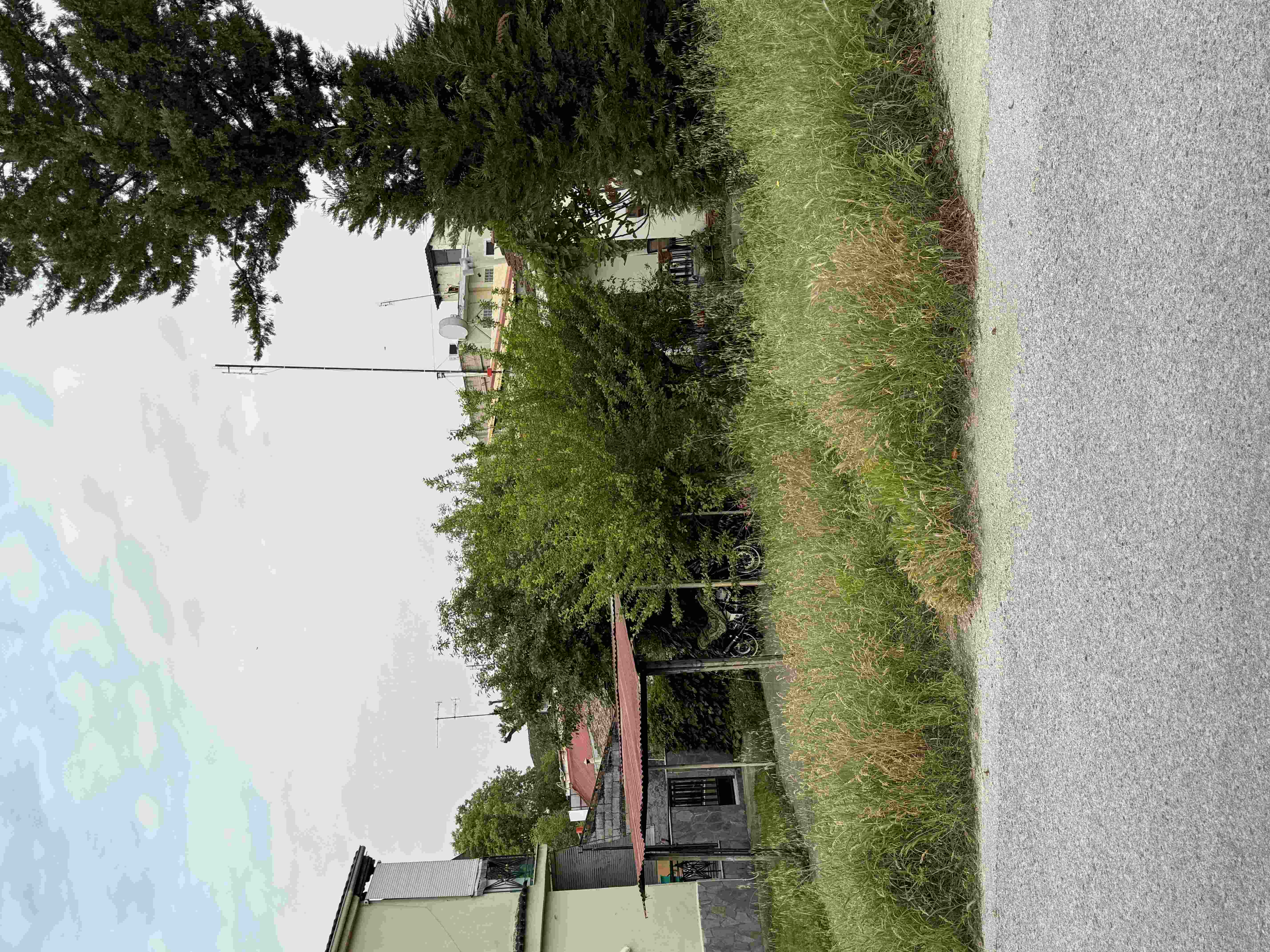 photo2