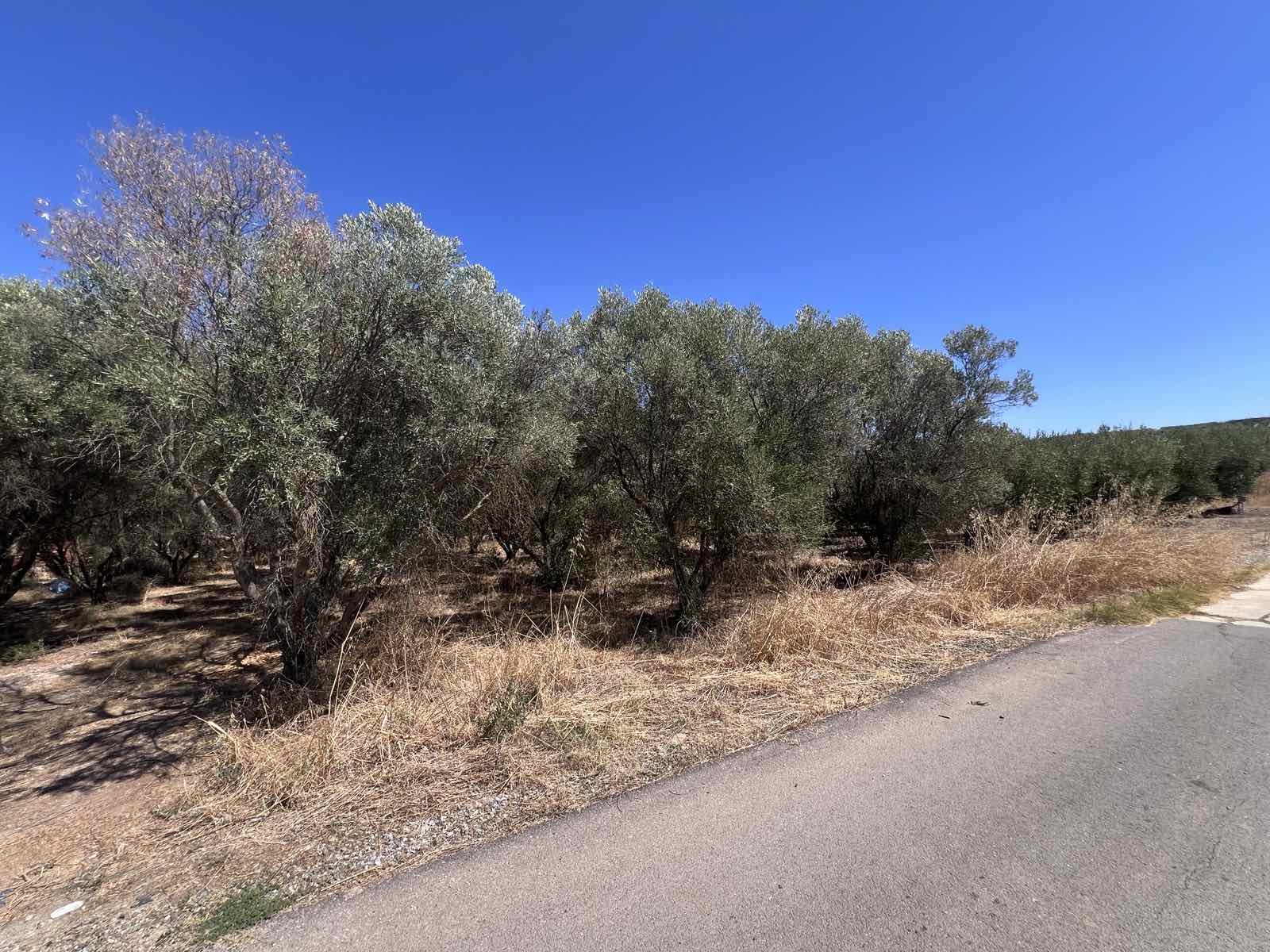 Οικόπεδο 836 τ.μ. σε πλειστηριασμό Δήμος Νέας Προποντίδας
