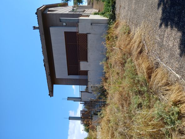 photo2