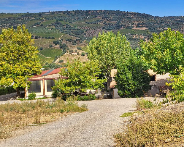 Οικόπεδο με κτίσμα  σε πλειστηριασμό Municipality of Aegialia
