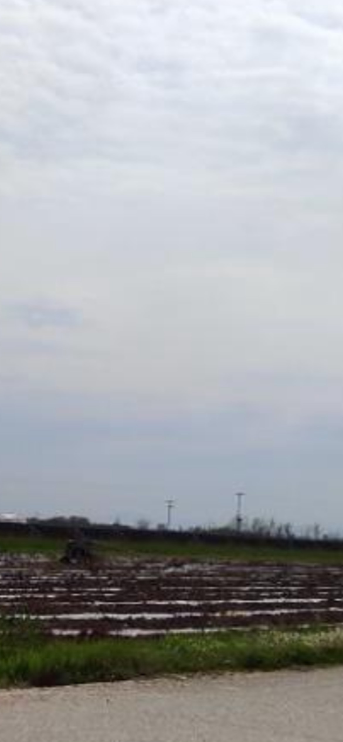 photo2