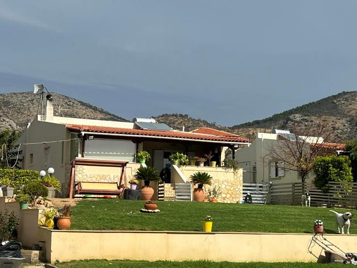 photo1