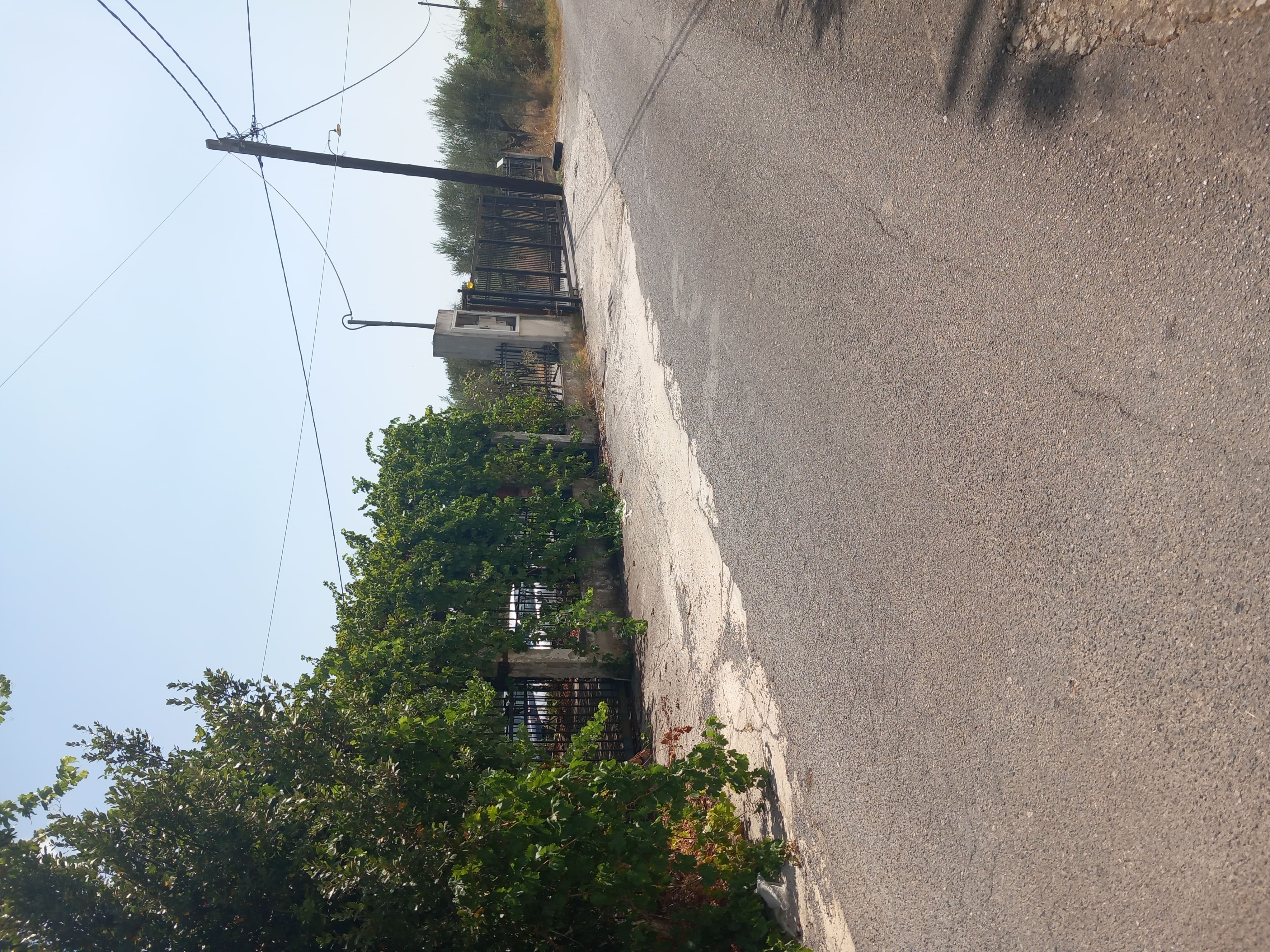 photo0