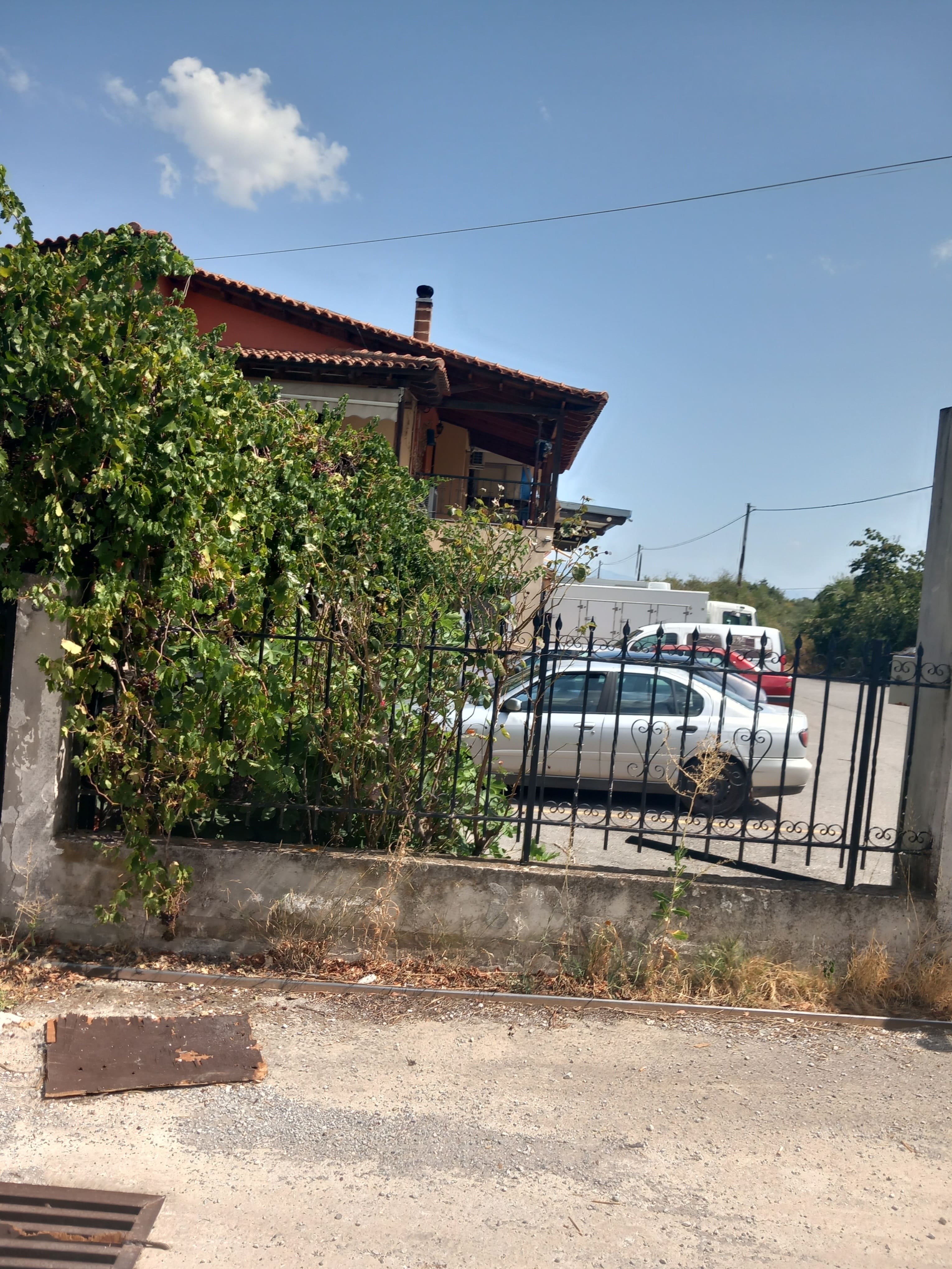photo2