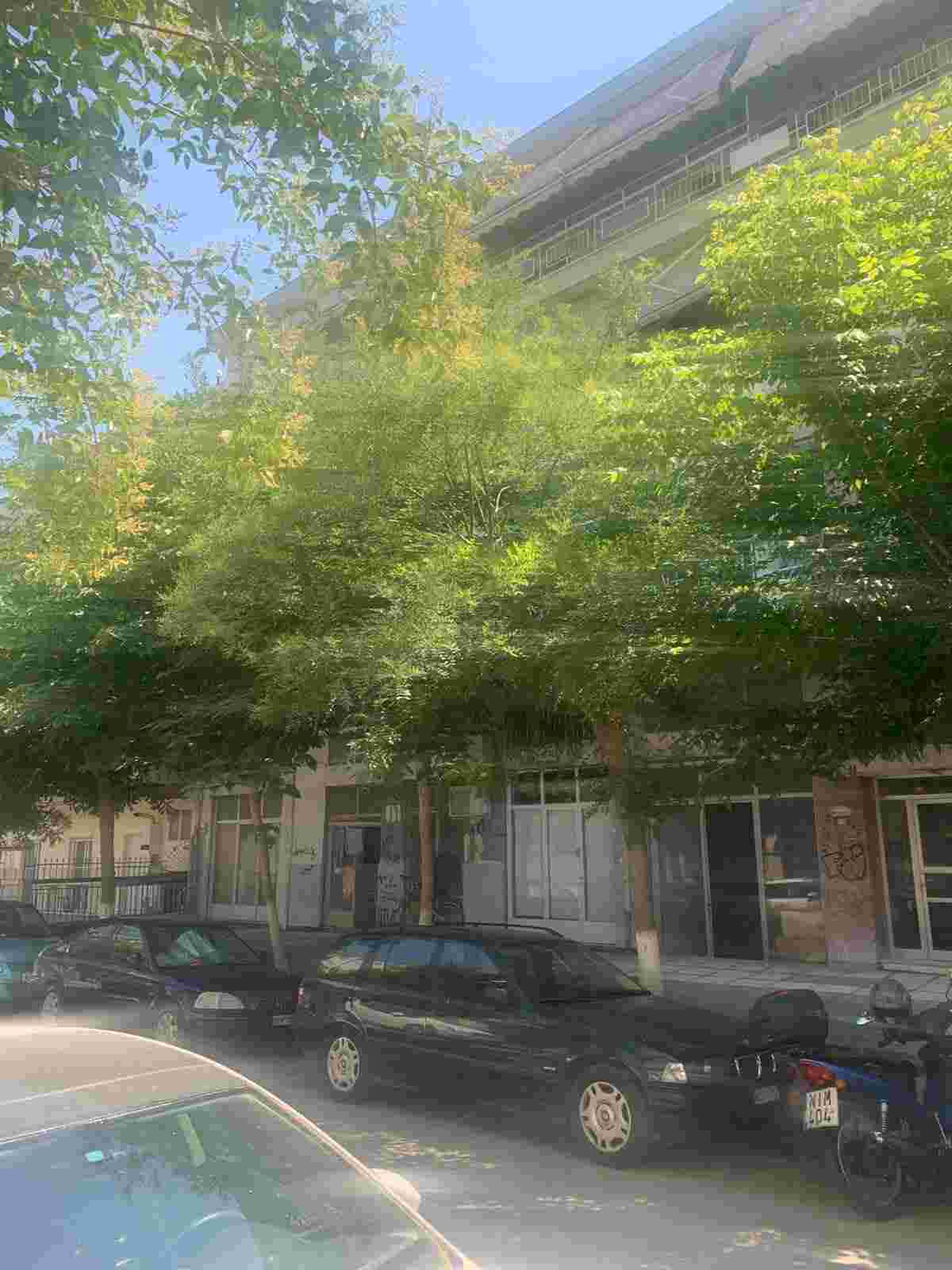 photo1