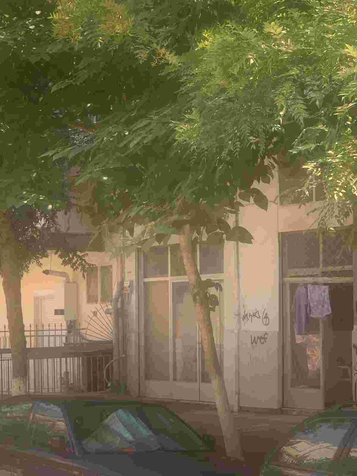 photo2