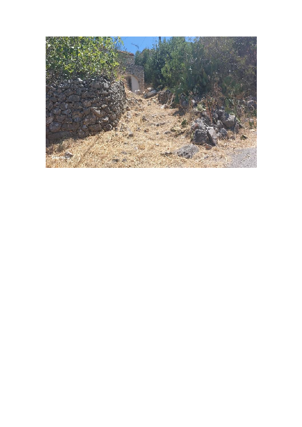 photo1