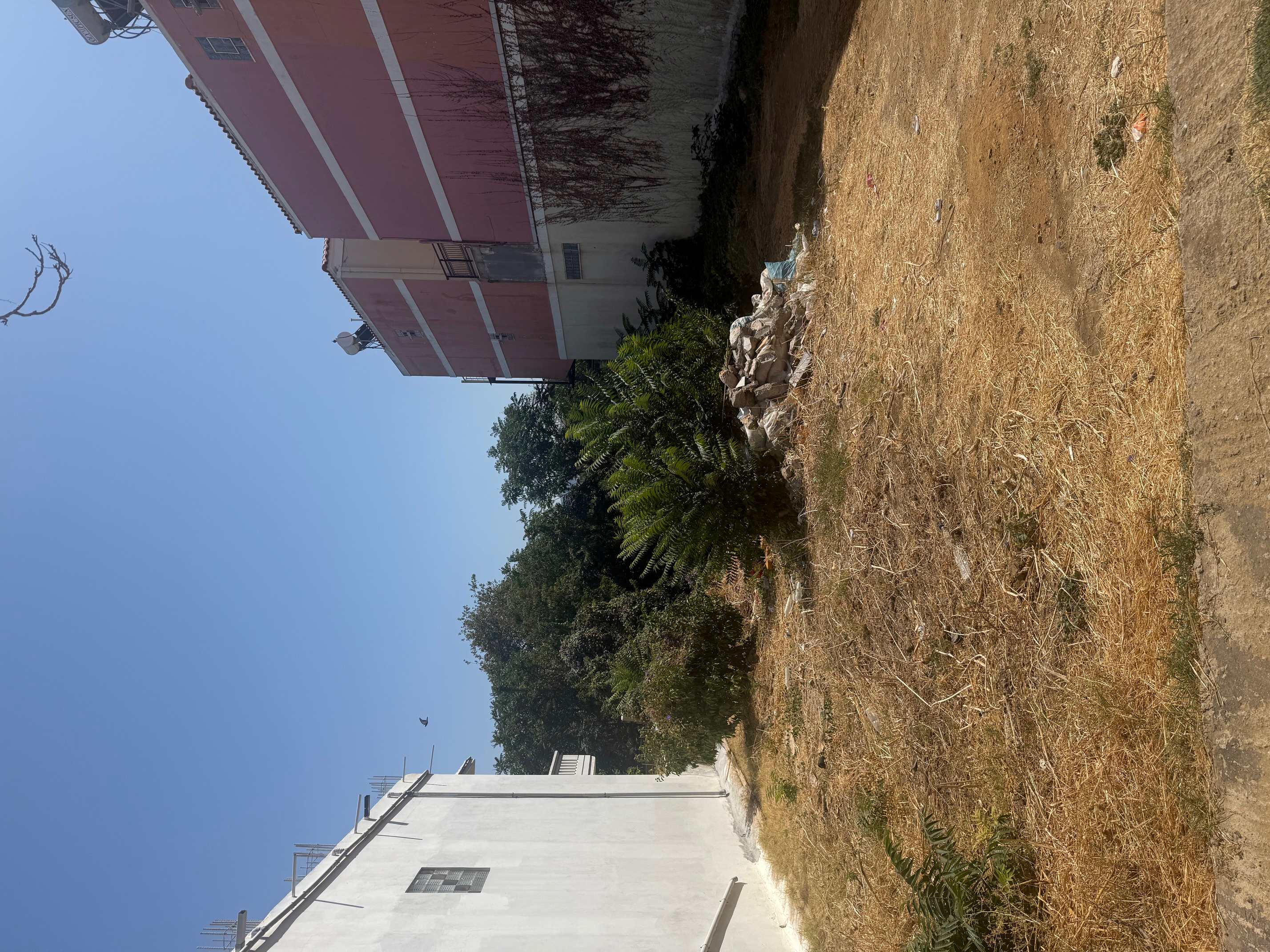 photo1