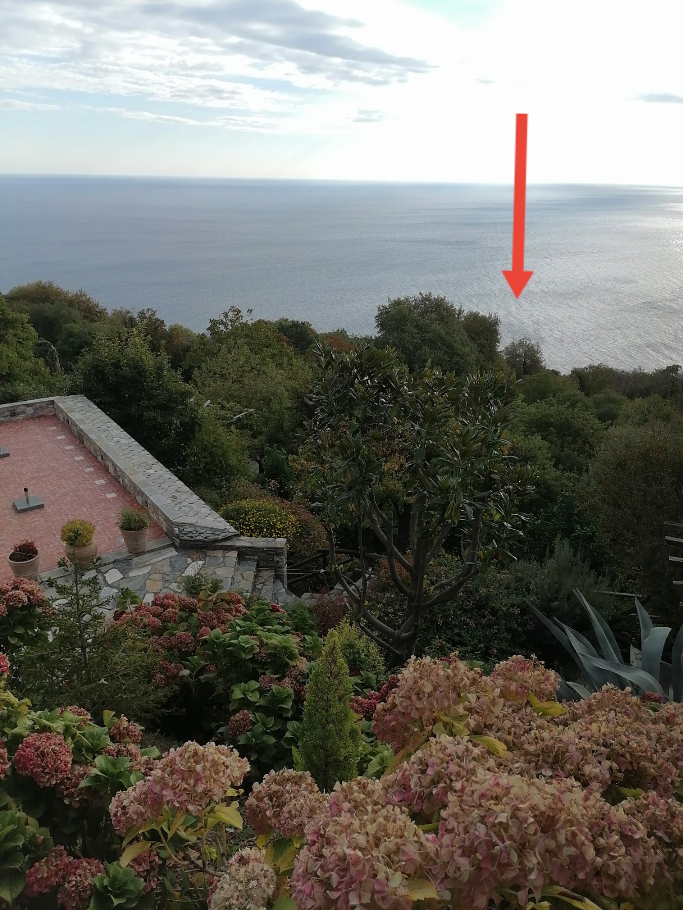 photo3