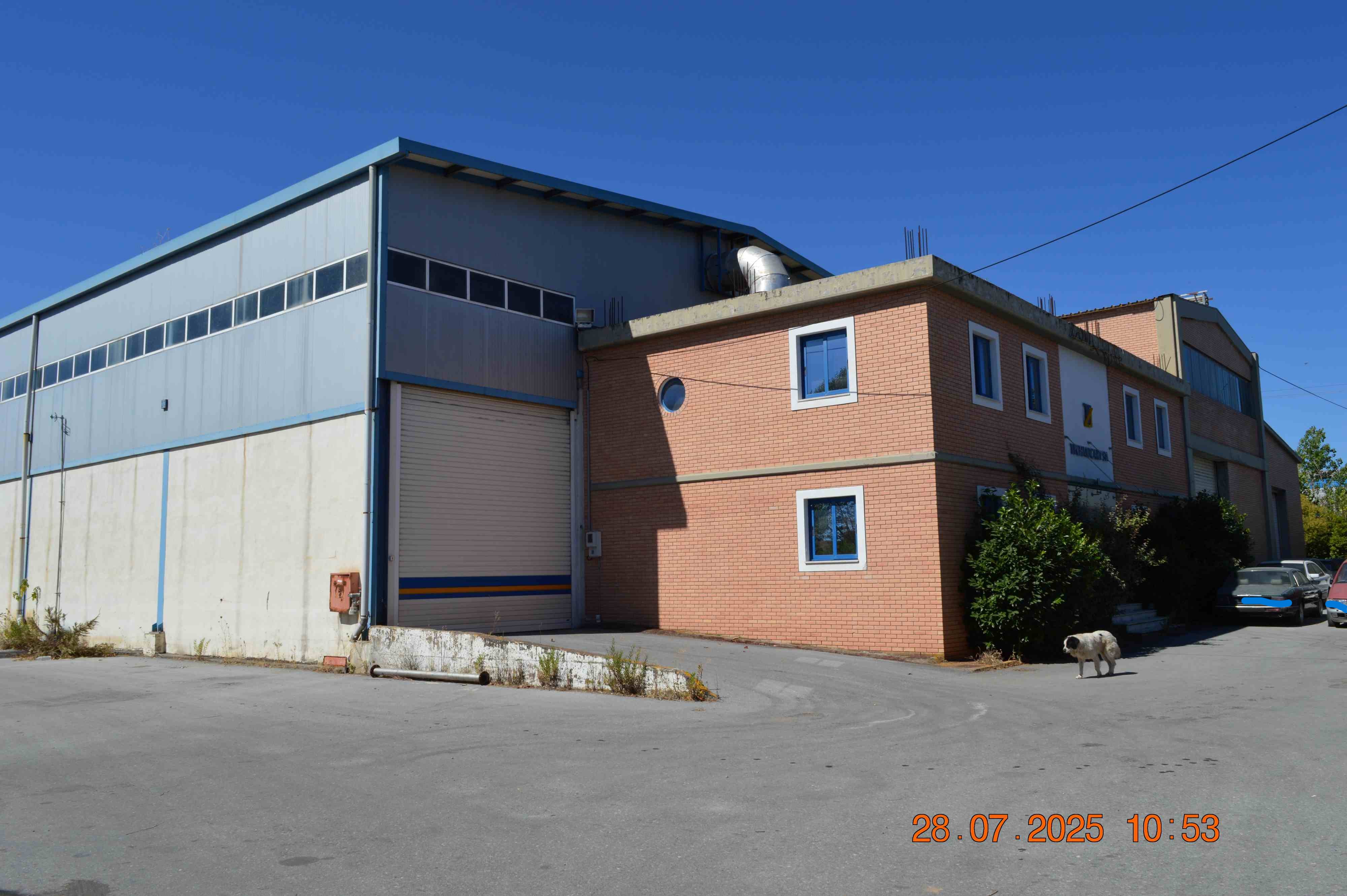 photo1