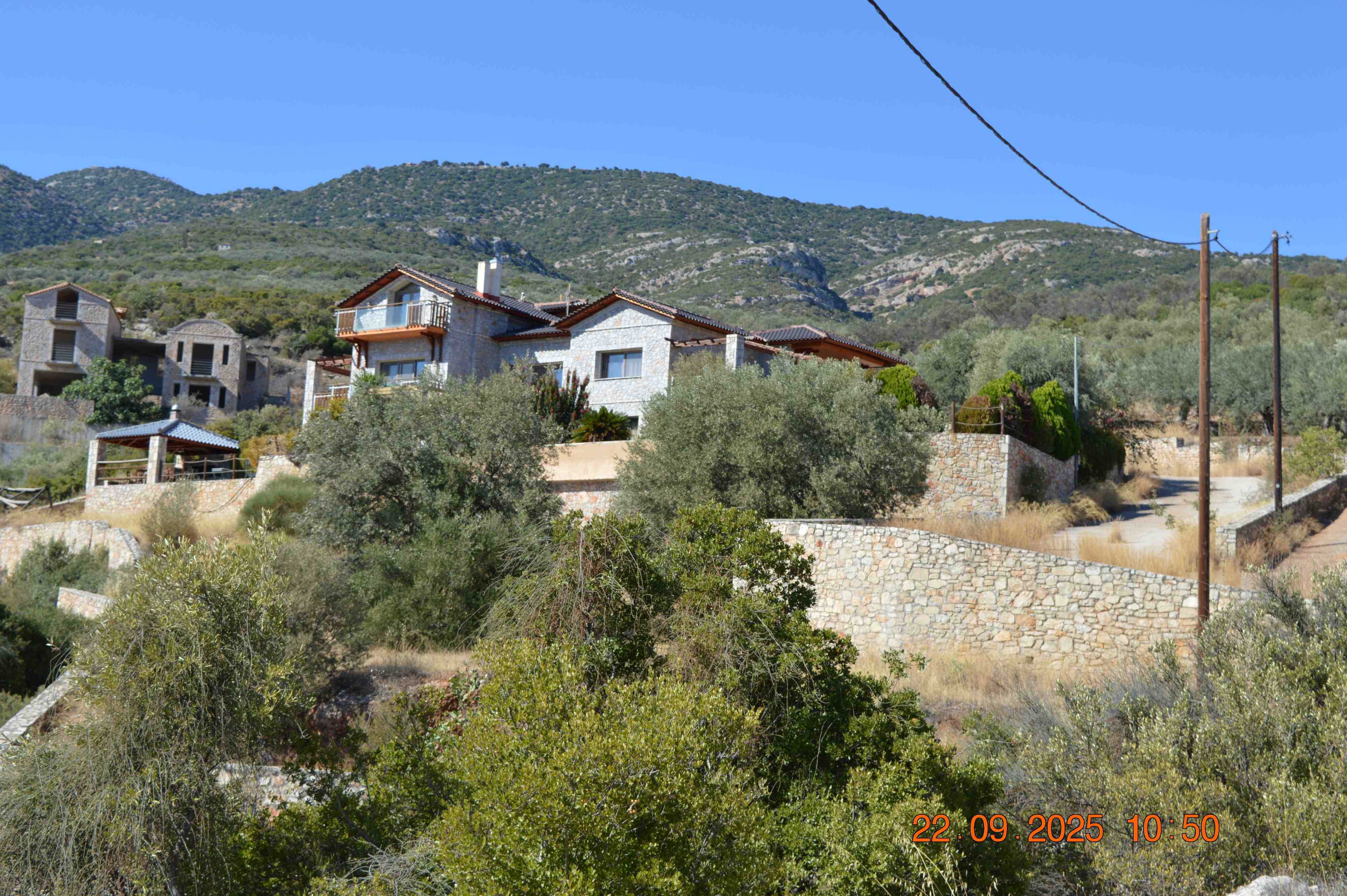 photo1
