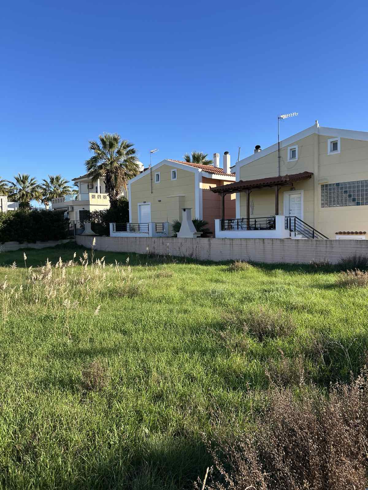 photo0