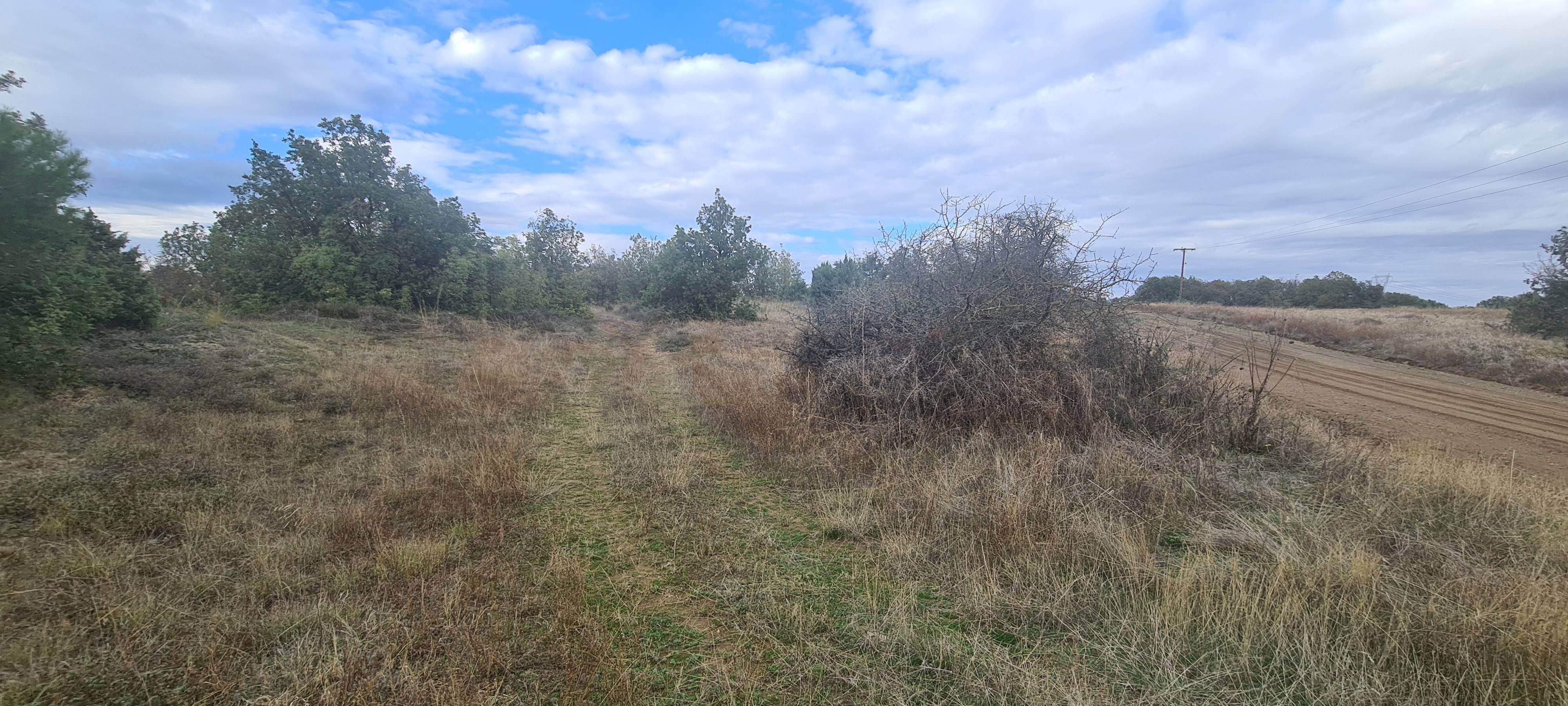 photo3