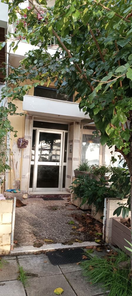 photo6