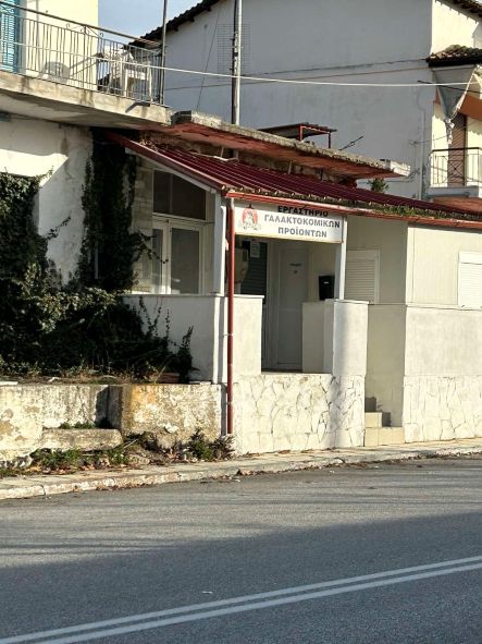 photo1