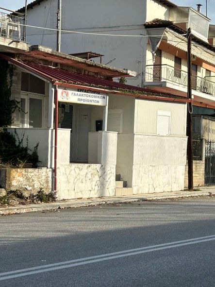 Άλλος Επαγγελματικός Χώρος  σε πλειστηριασμό Δήμος Λαγκαδά