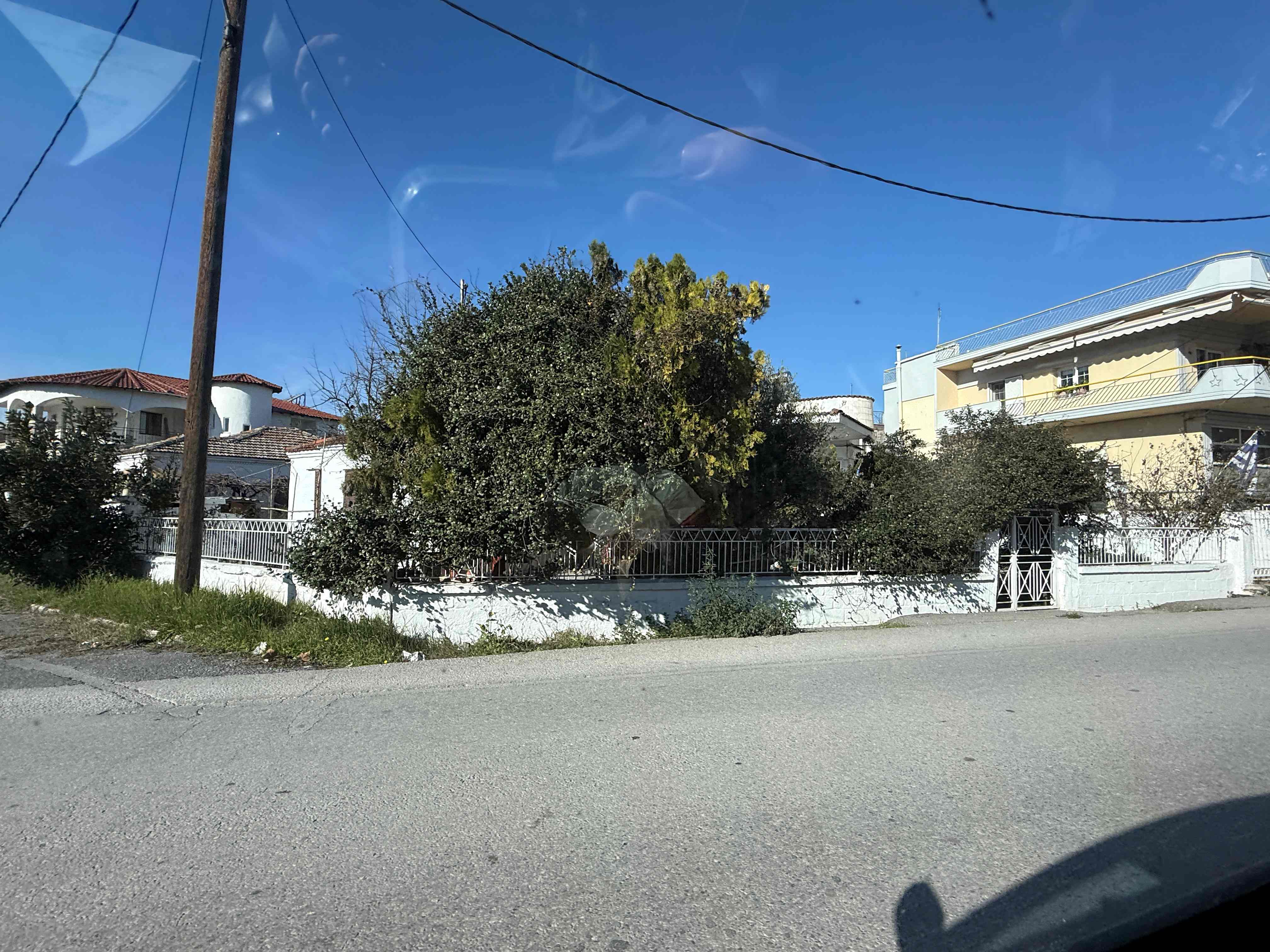 photo1