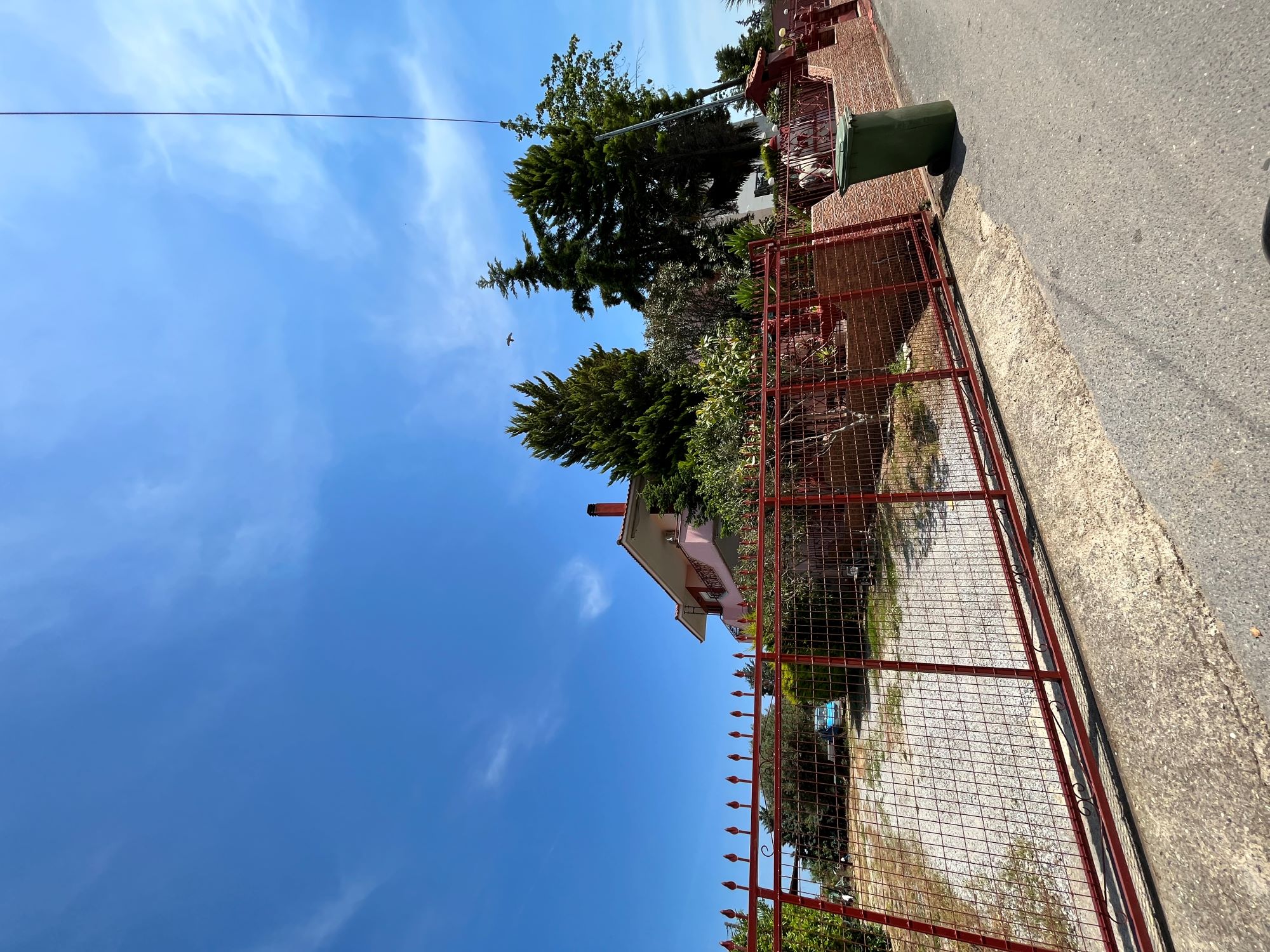 photo0