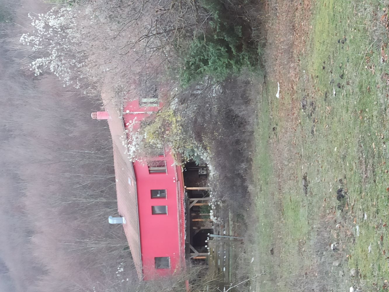 photo1