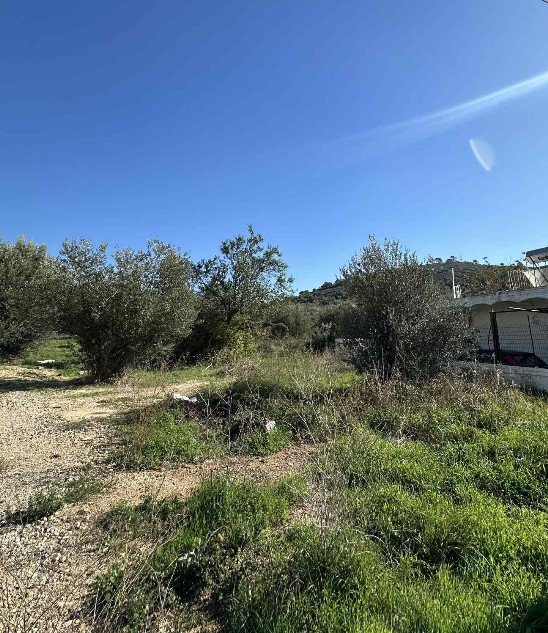 Οικόπεδο με κτίσμα  σε πλειστηριασμό Tribe Municipality