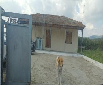 photo3