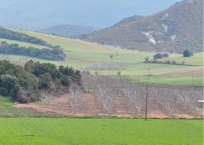 photo1