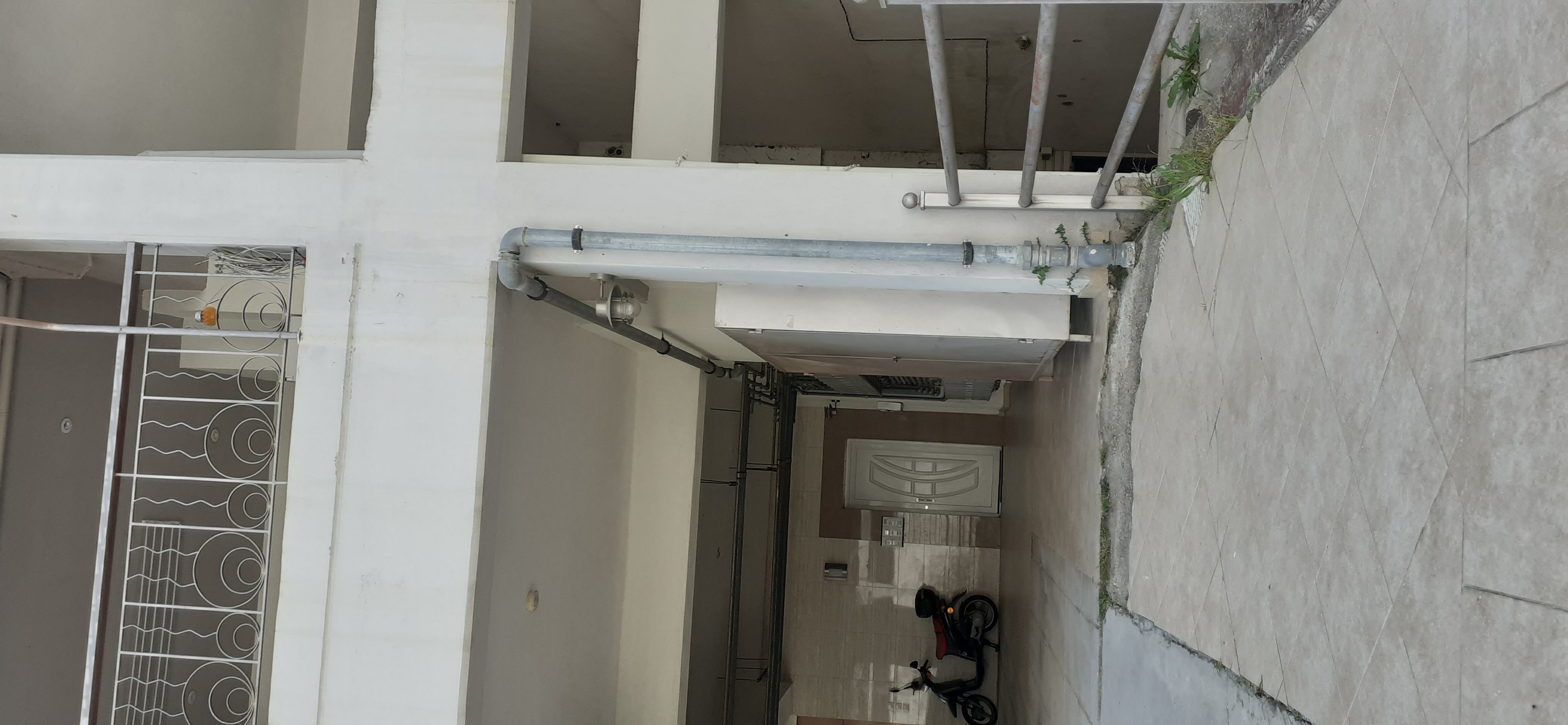 photo2