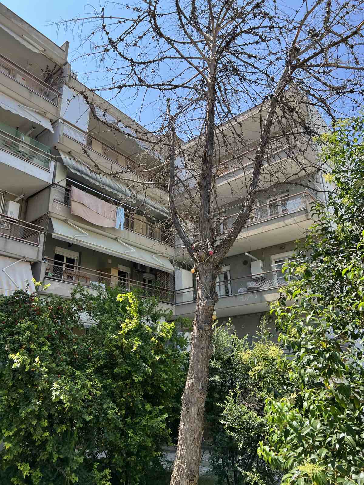 Κατοικία  σε πλειστηριασμό Municipality of Kalamaria