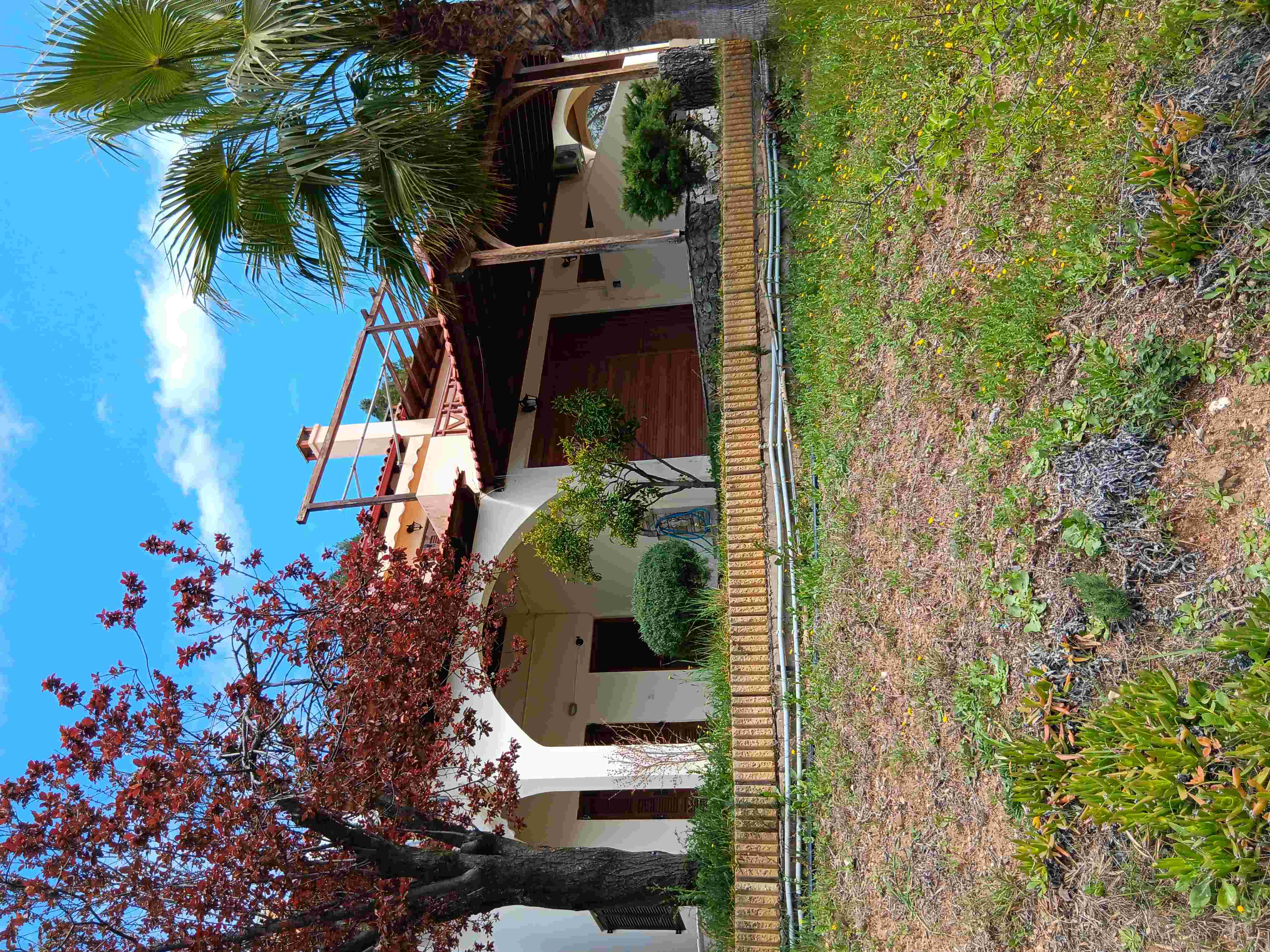 photo1