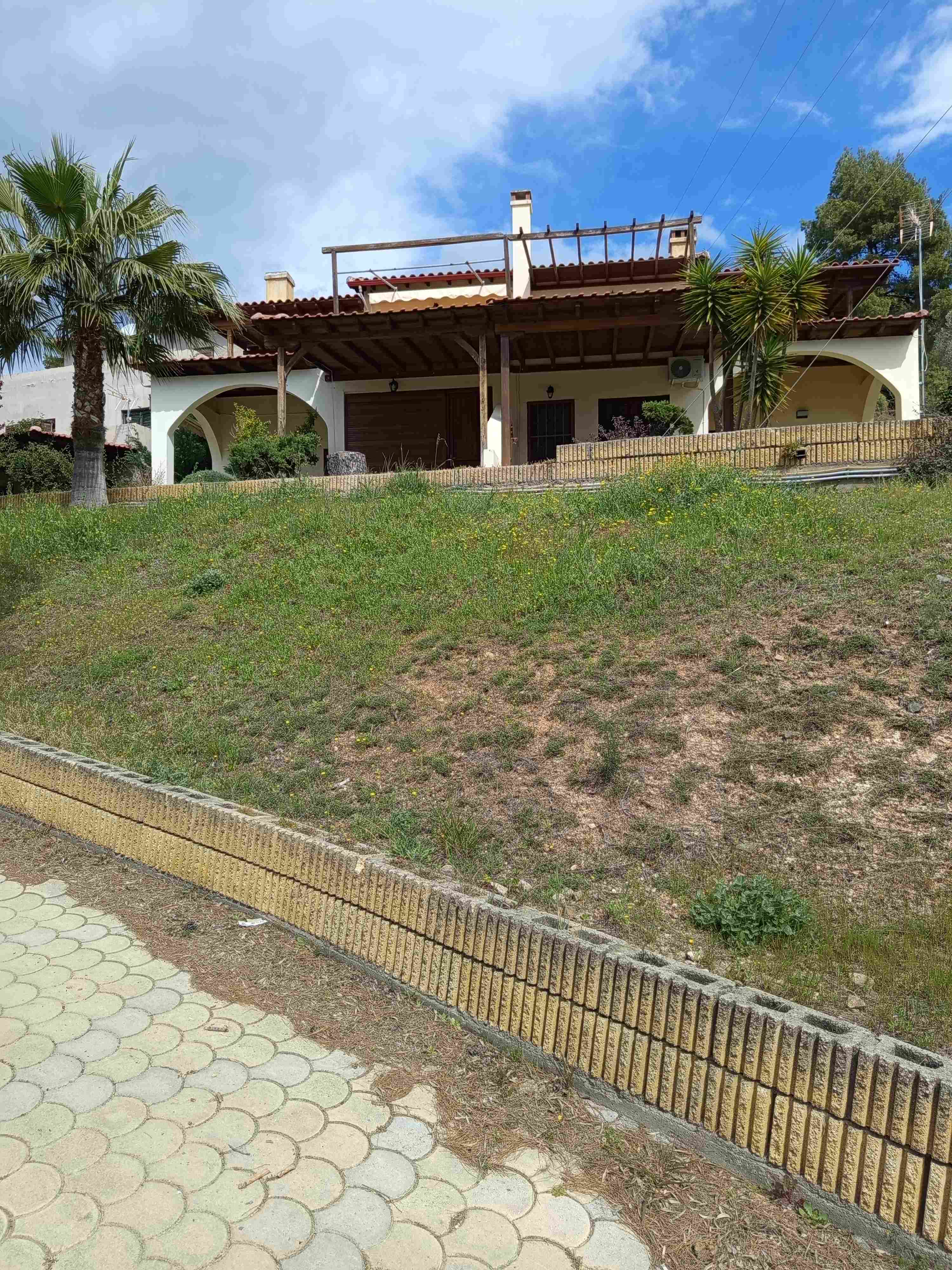 photo2