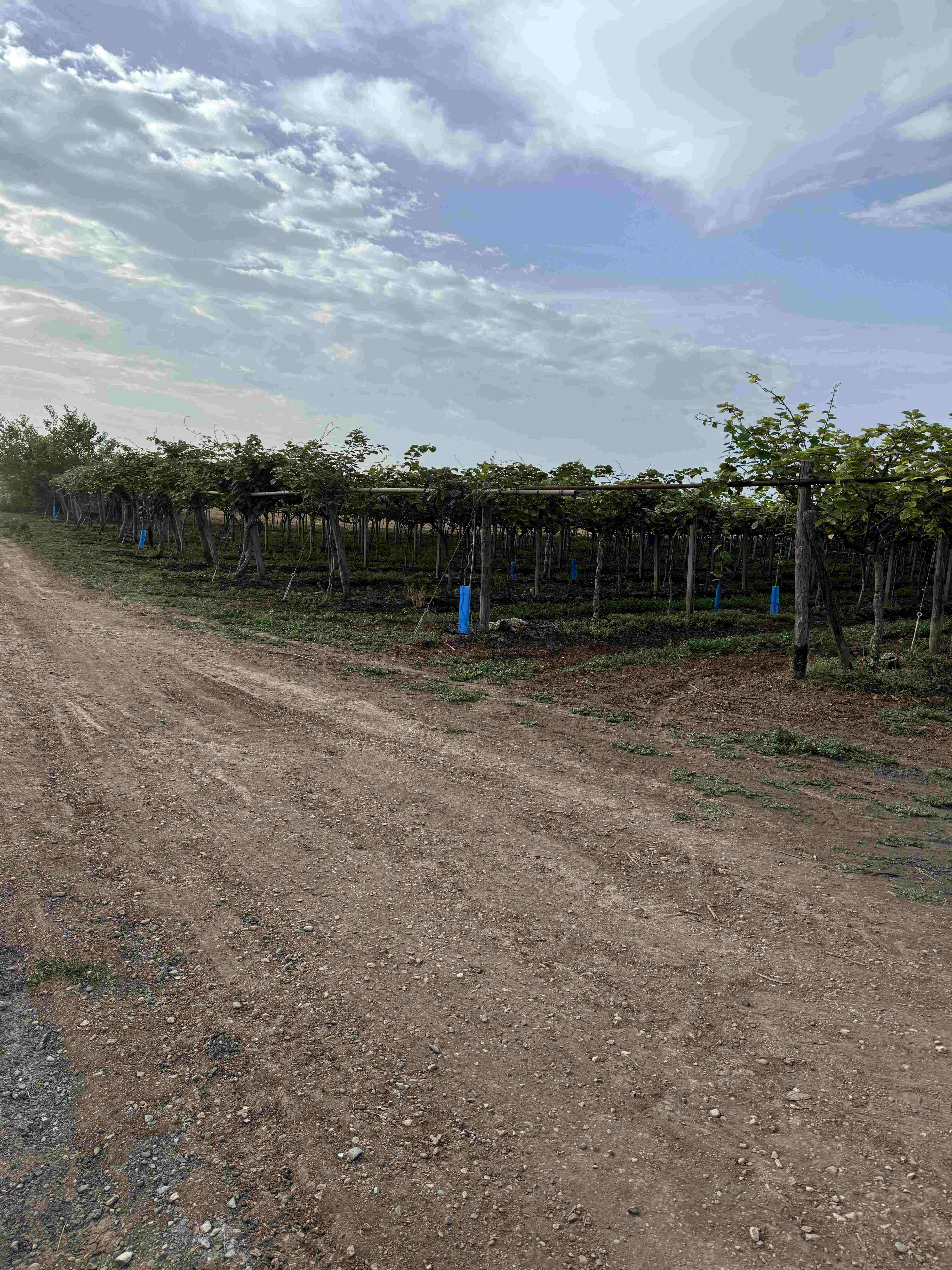 photo2