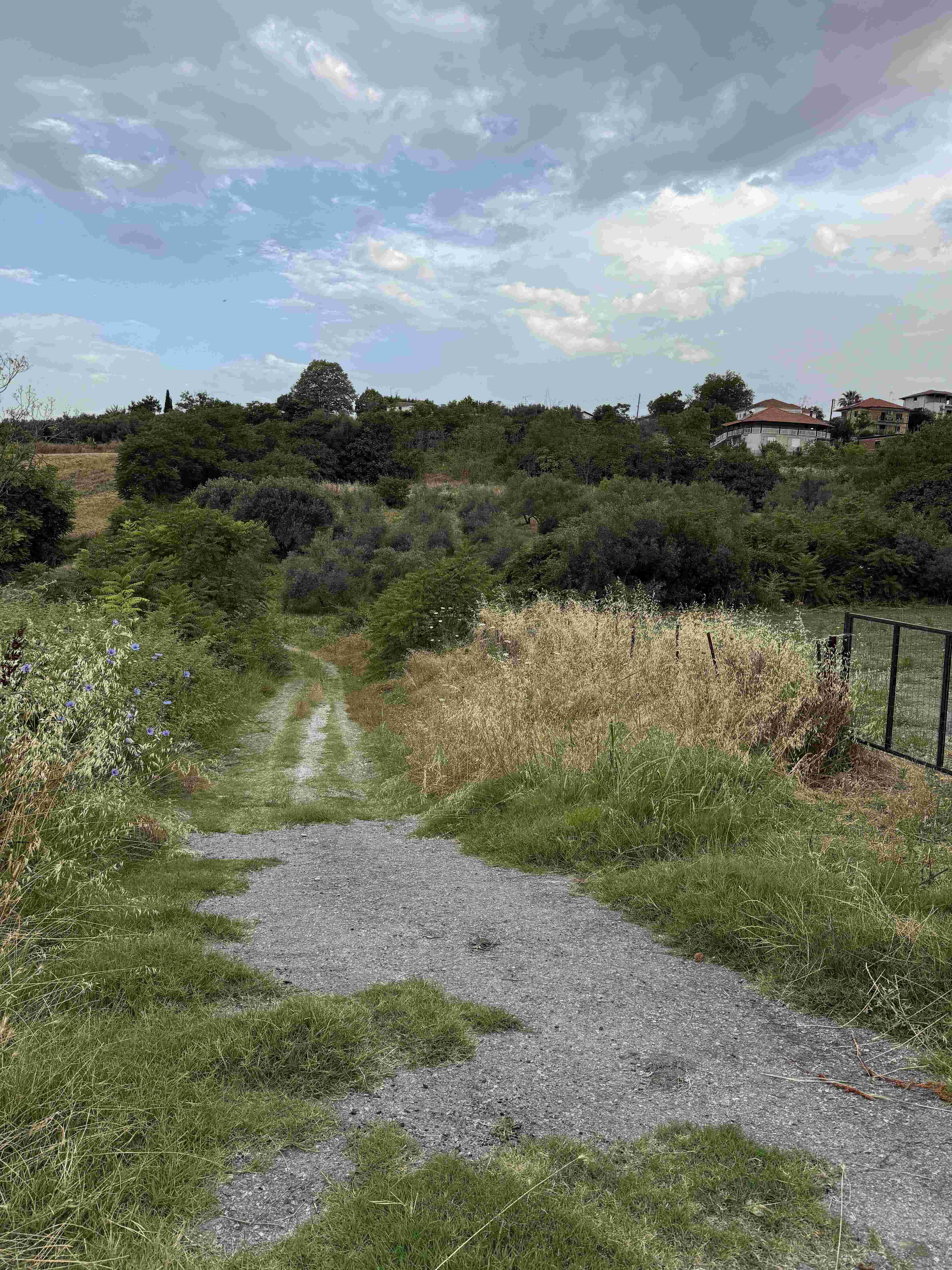 photo6