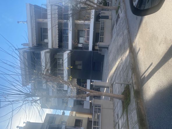 photo2
