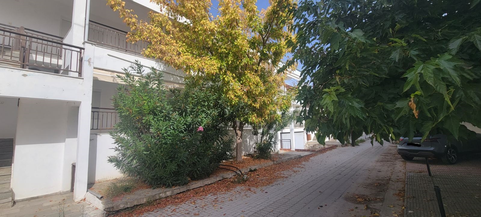 Κατοικία  σε πλειστηριασμό Δήμος Σιθωνίας