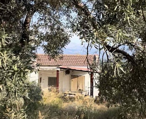 photo0