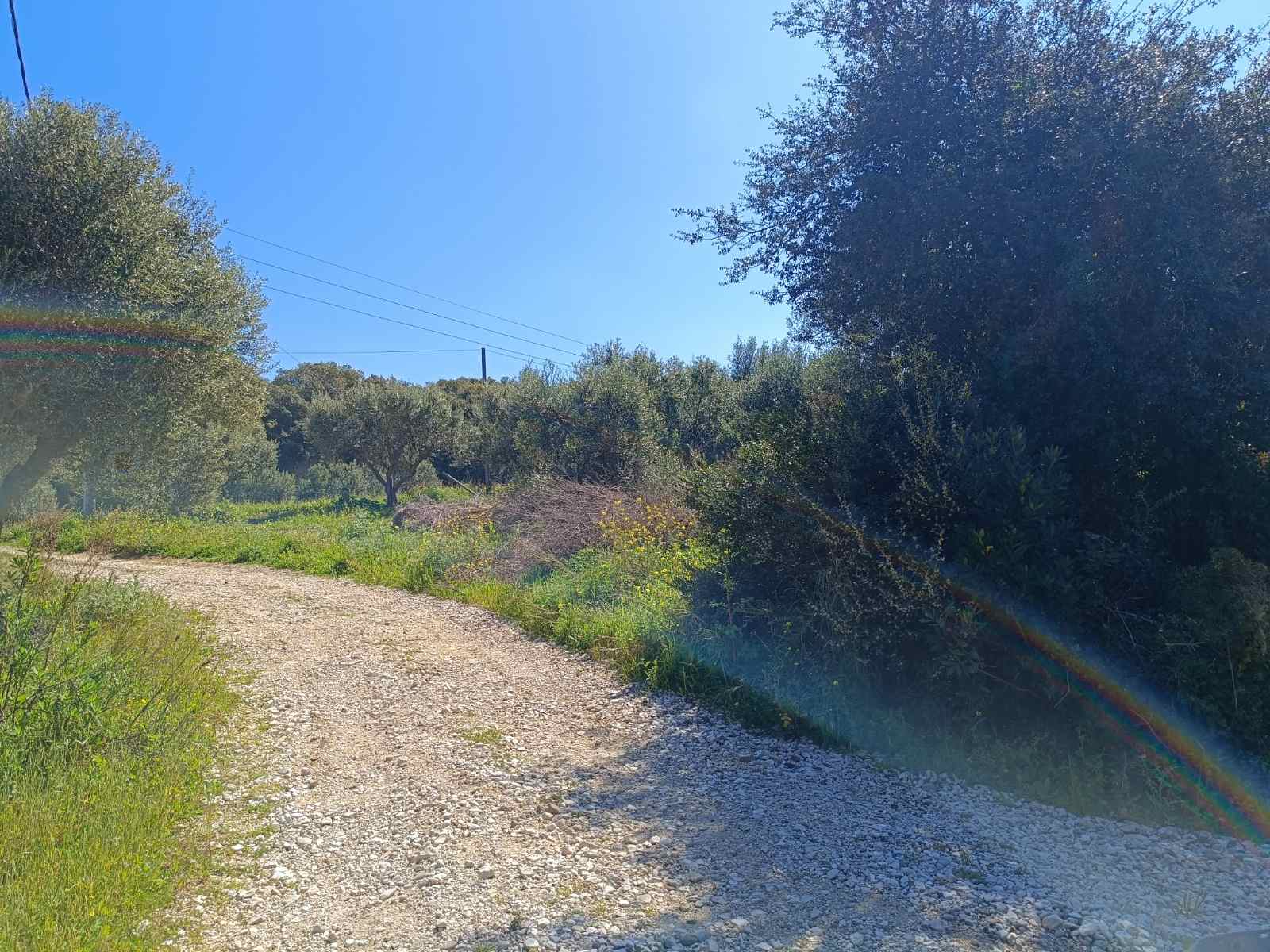 Αγροτεμάχιο  σε πλειστηριασμό Municipality of Andravida - Kyllini