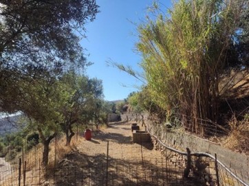 photo3
