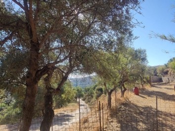 photo4
