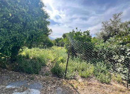 Οικόπεδο  σε πλειστηριασμό Δήμος Πατρέων