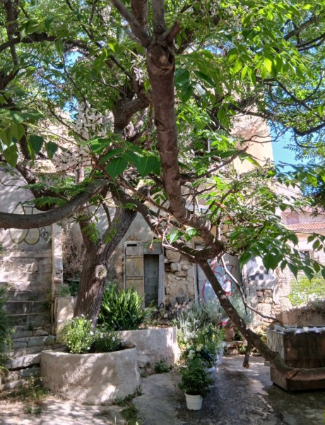 Οικόπεδο με κτίσμα  σε πλειστηριασμό Municipality of Athens