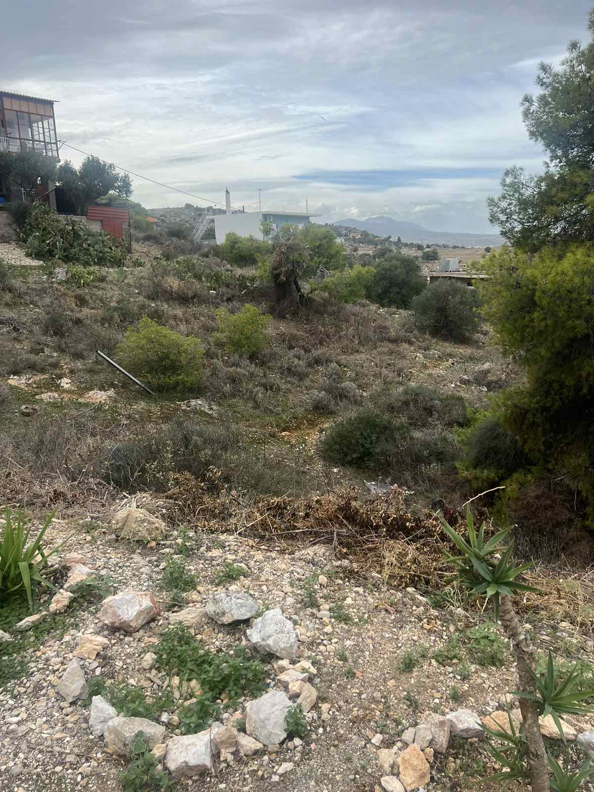 Οικόπεδο  σε πλειστηριασμό Δήμος Μεγαρέων