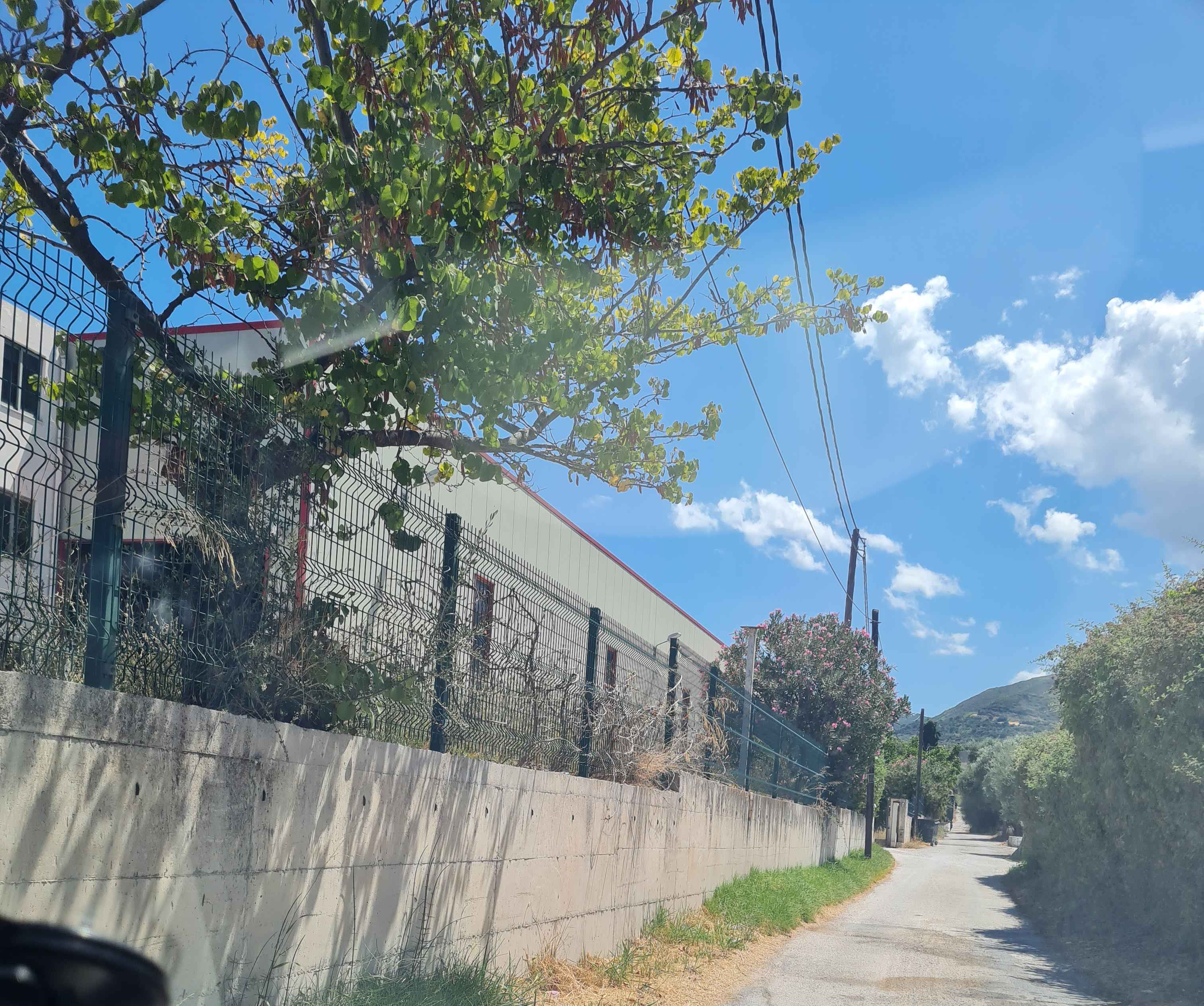 Βιομηχανικός / Βιοτεχνικός Χώρος 483.67 τ.μ. σε πλειστηριασμό Δήμος Πατρέων