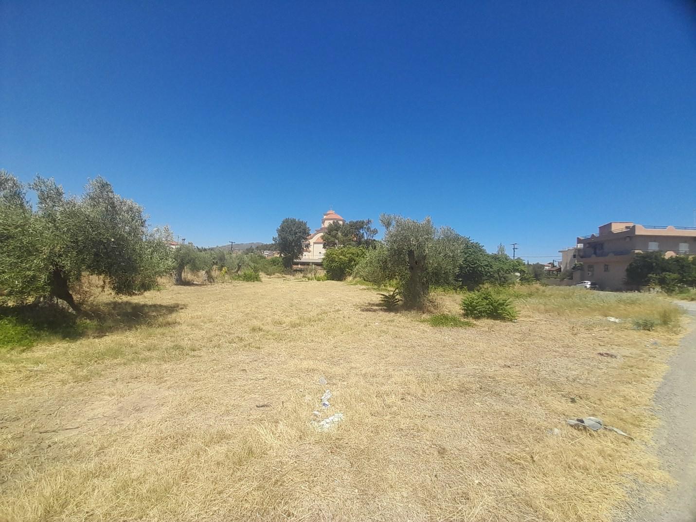 photo1