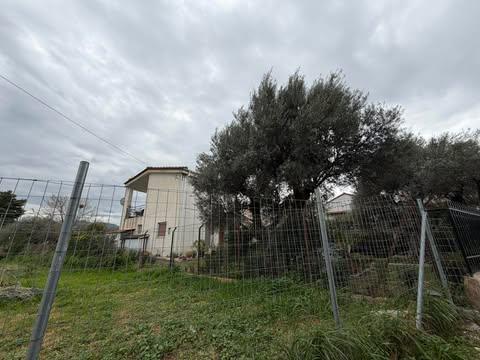 photo4