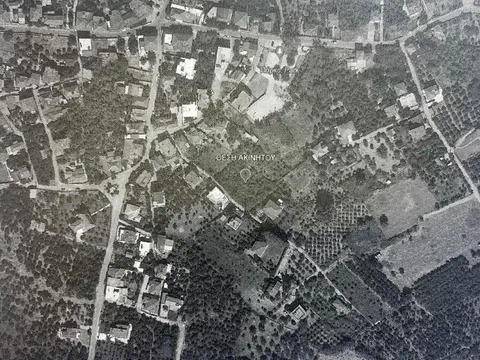 photo1