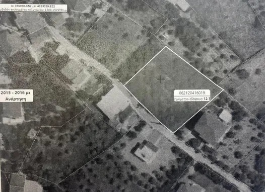 photo2