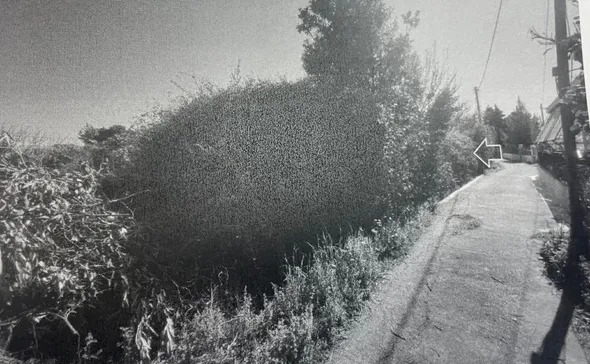 Οικόπεδο 209.16 sq.m. σε πλειστηριασμό Municipality of Aegialia