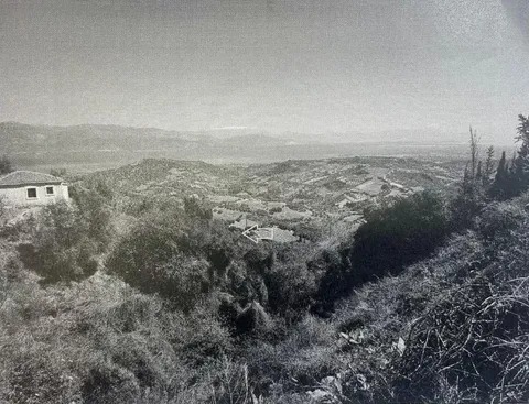 photo1