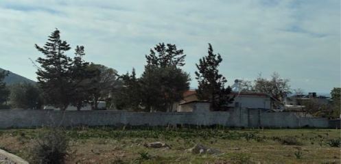 photo0