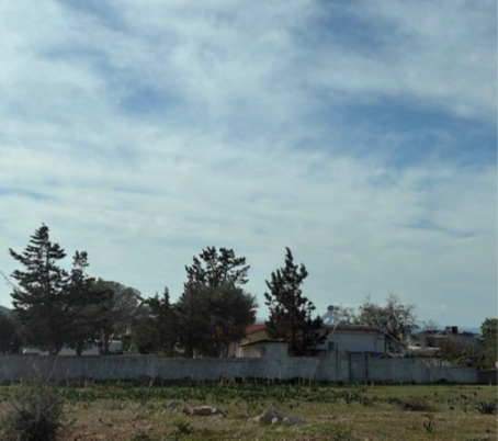 photo1